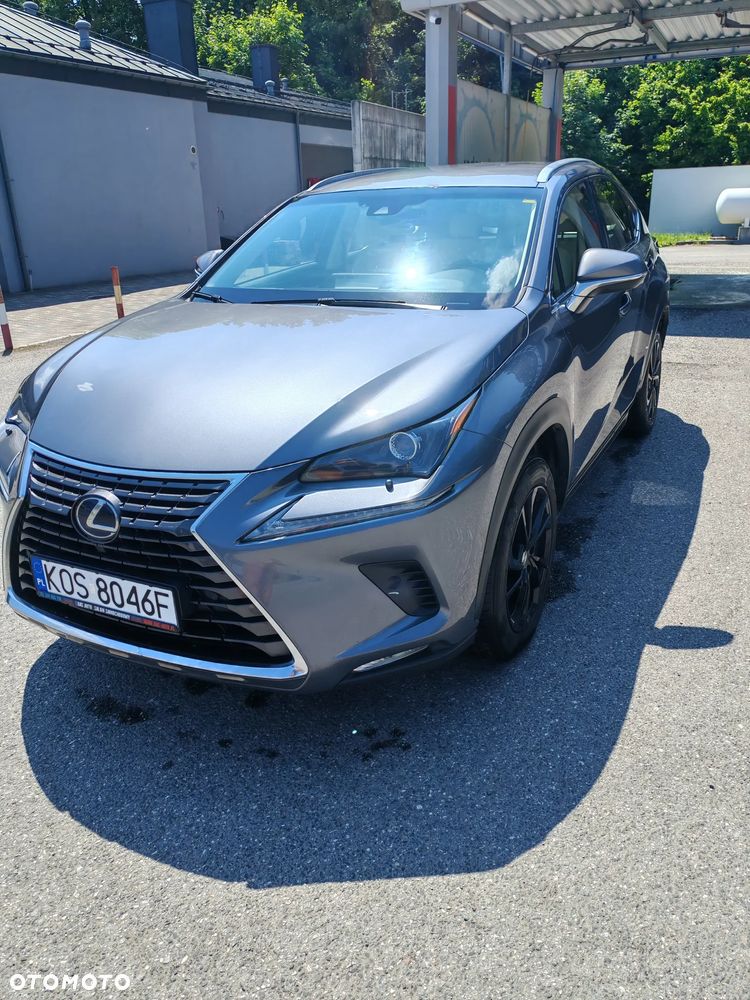 Lexus NX 300h Business Edition AWD - 1