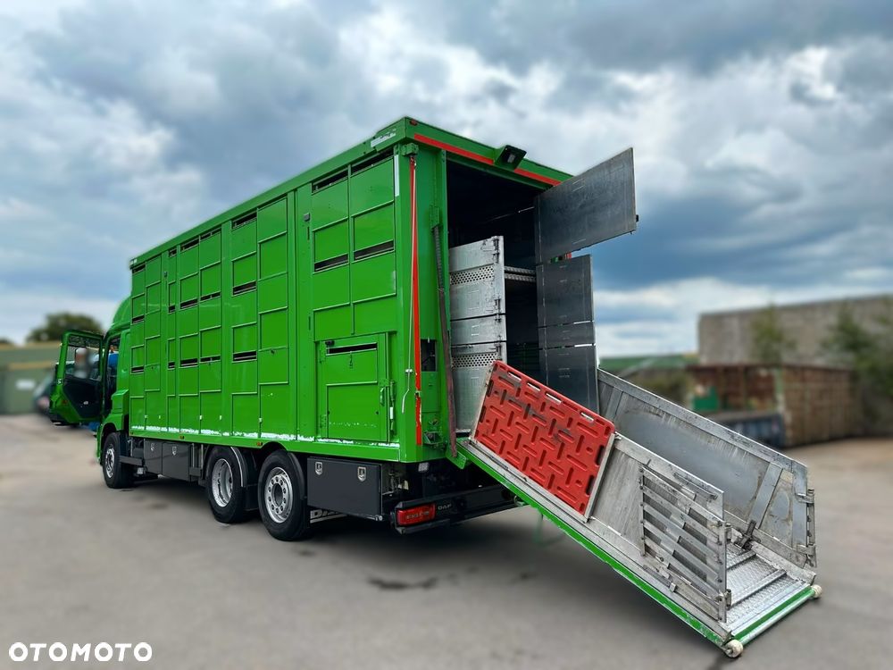 DAF CF 440 6x2 | Transport Zwierząt | KA-BA 3 Poziomy | Euro 6 | Automat | 2017 r - 7