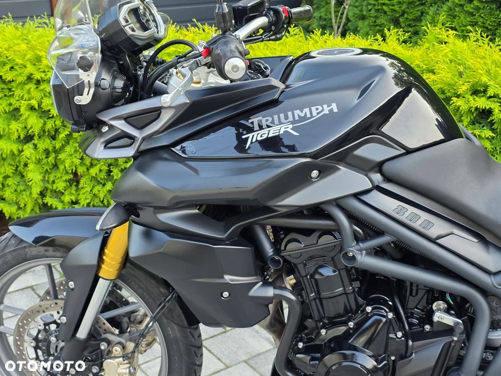 Triumph Tiger - 32