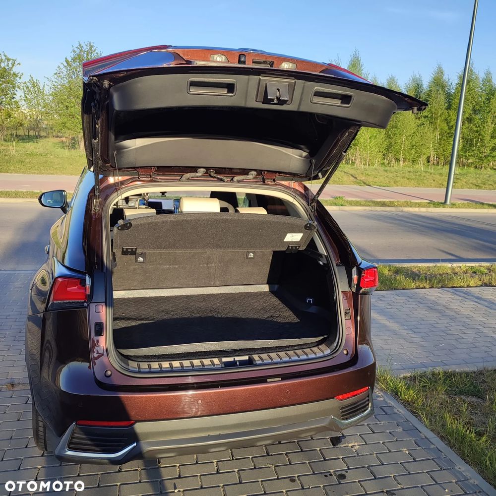 Lexus NX 300h Elegance Optimum AWD - 6