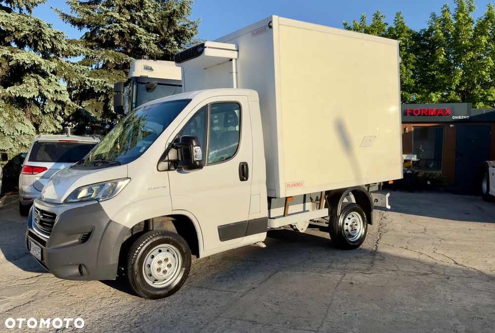 Fiat Ducato chłodnia /// Salon Polska /// carrier /// - 2