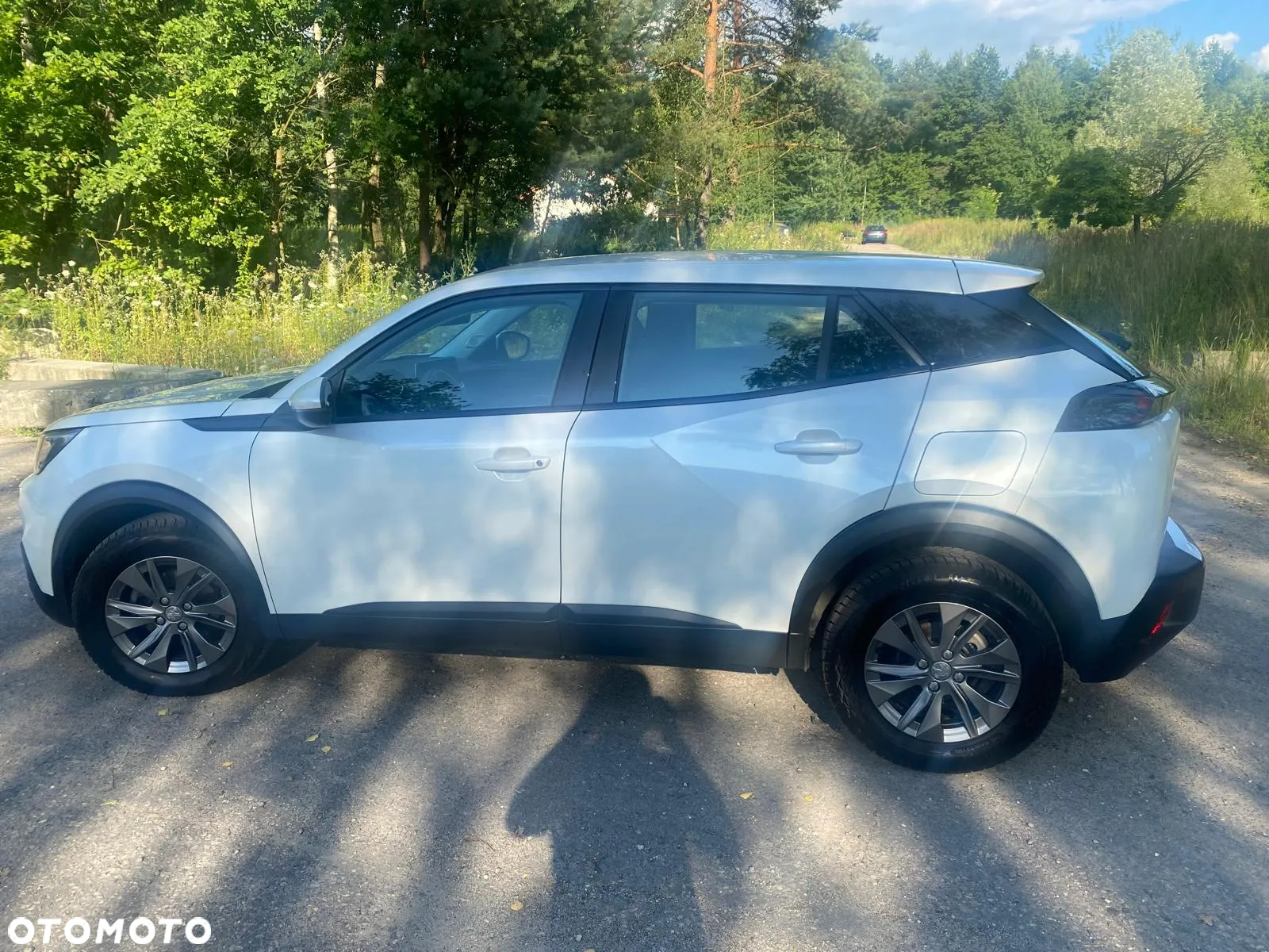 Peugeot 2008 1.2 PureTech Active S&S - 12