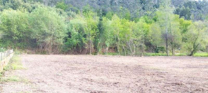 Venda de terreno - Grande imagem: 5/9