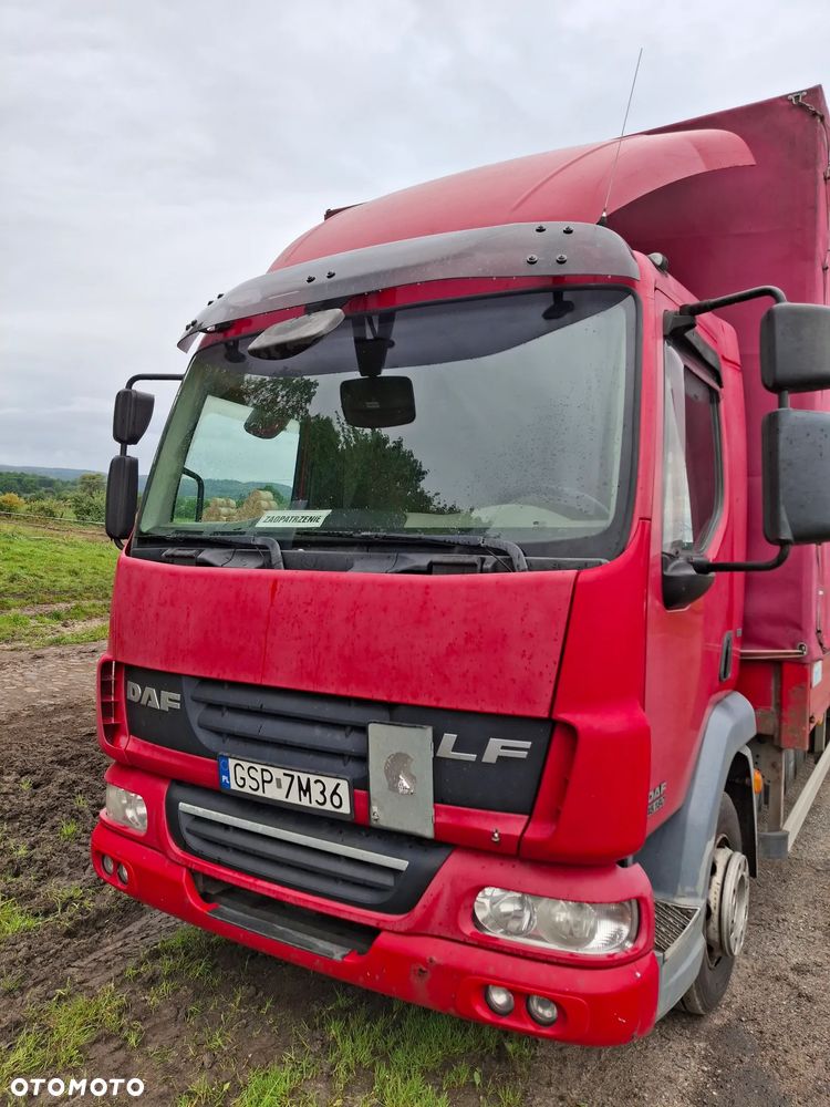 DAF LF