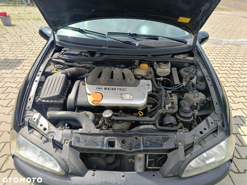 Opel Tigra 1.6 - 18