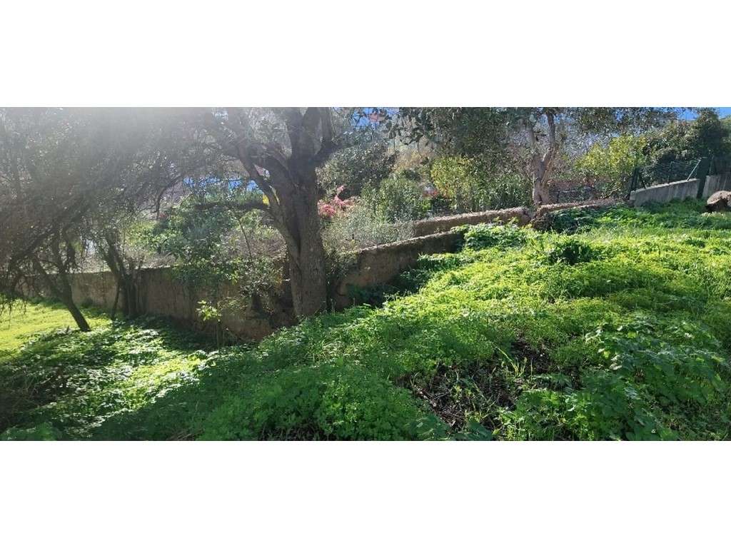 LOTE c/ Projeto aprovado - V5 - Grande imagem: 5/10