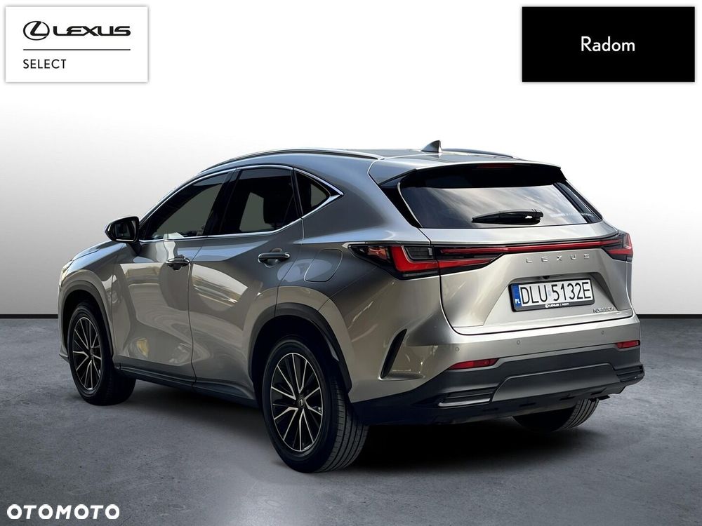 Lexus NX 350h Prestige 2WD - 6