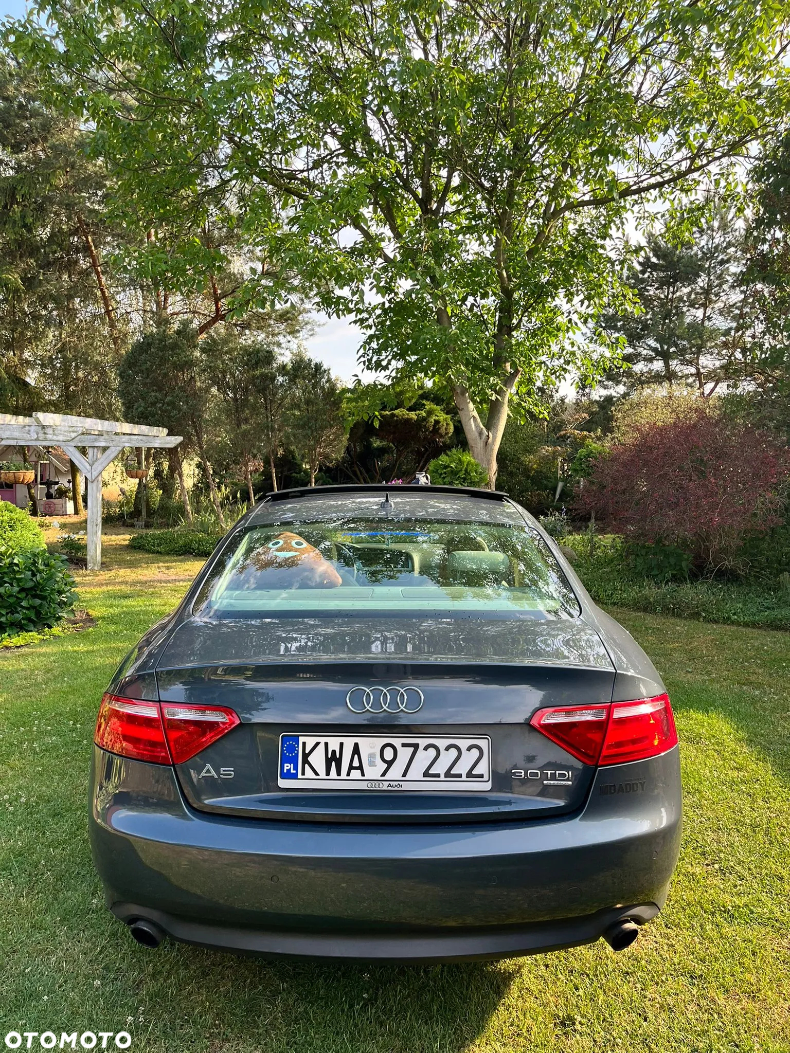 Audi A5 - 6