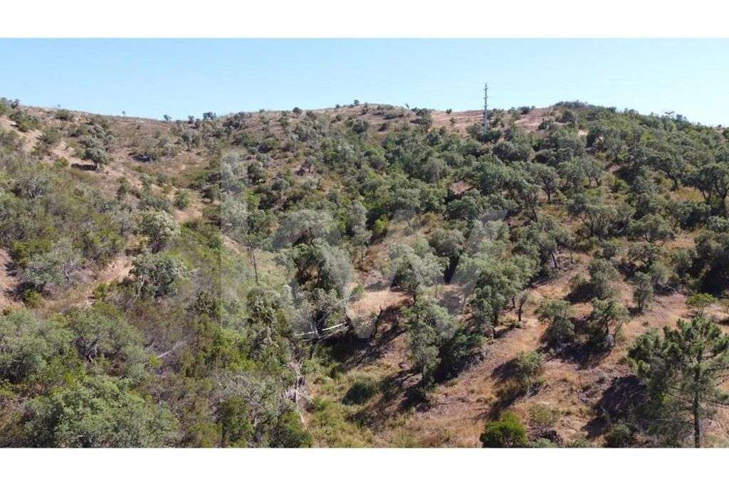 Quinta em Vale do Lobo - Grande imagem: 3/24