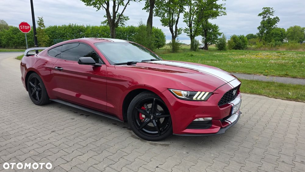 Ford Mustang 3.7 V6 Premium - 10