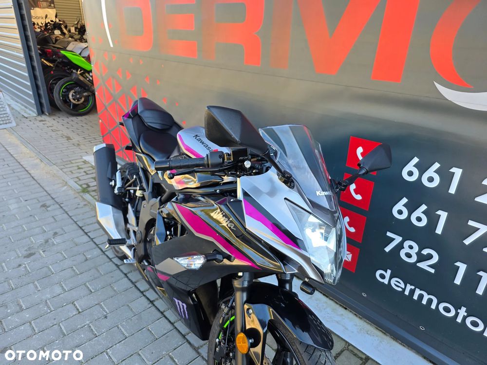 Kawasaki Ninja - 29