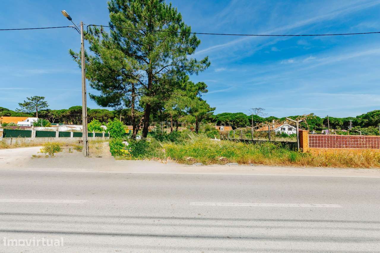 Terreno Urbano na Charneca de Caparica | Pinhal da Aroeira - Grande imagem: 3/13