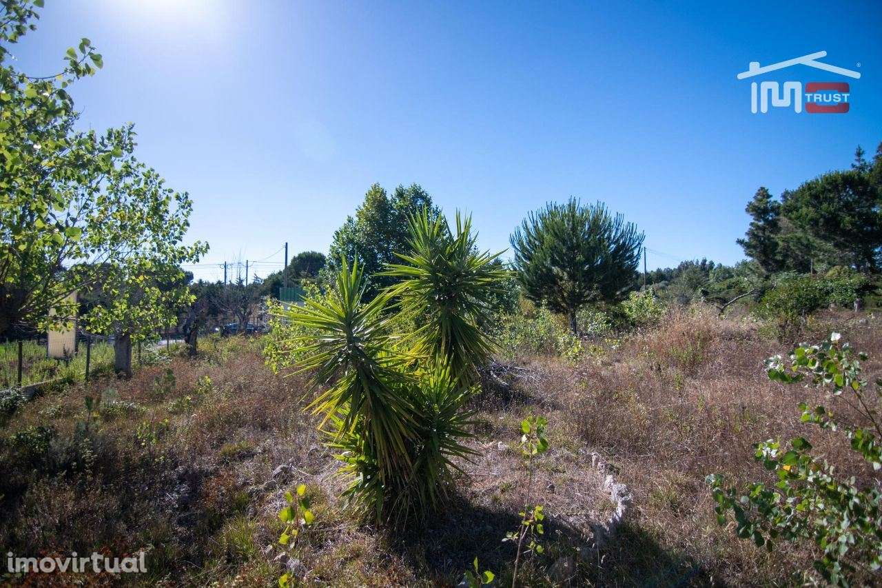 Armazém Urbano - Grande imagem: 5/19