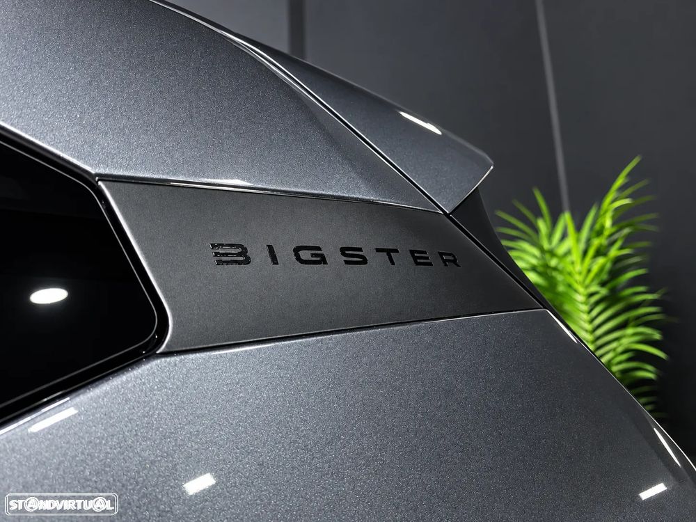 Dacia Bigster - 10