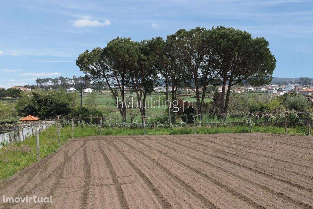 Terreno para construção localizado em Carvalhal ! - Grande imagem: 5/11