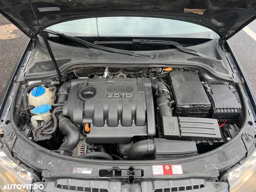 Audi A3 3-portiere 2.0 TDI DPF Ambiente - 13