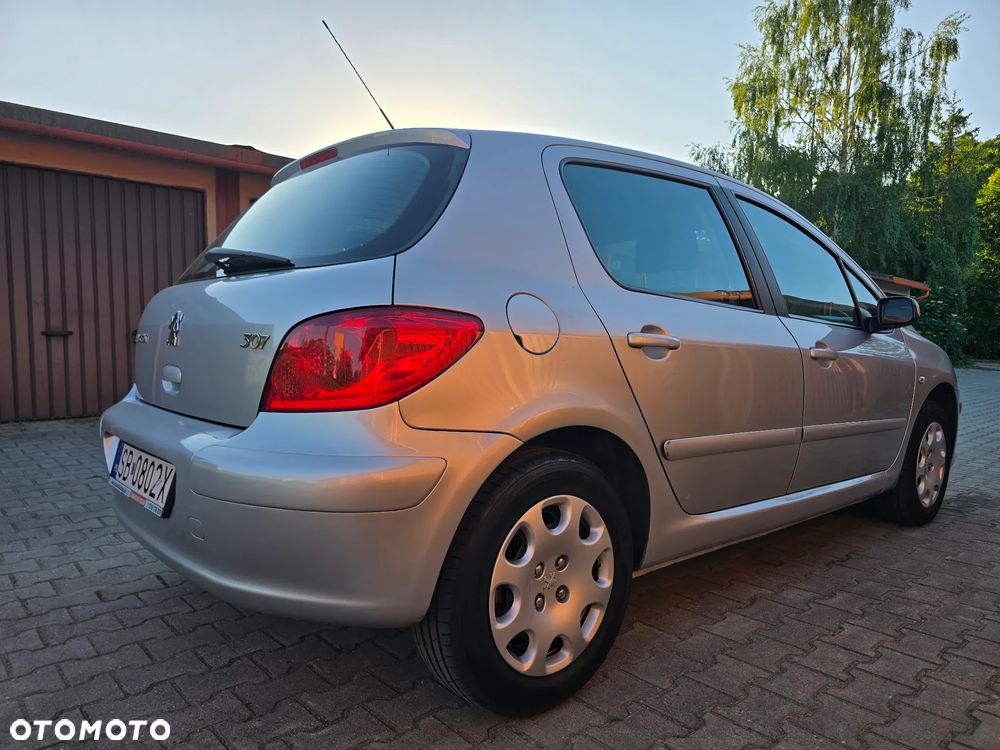 Peugeot 307 1.6 Premium - 9