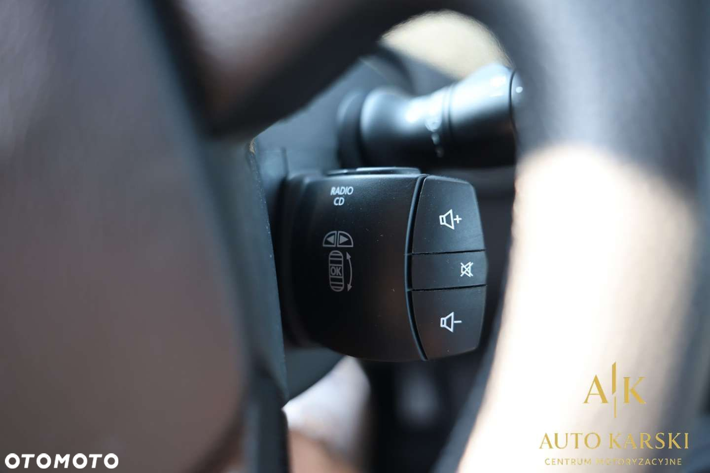Renault Scenic - 28