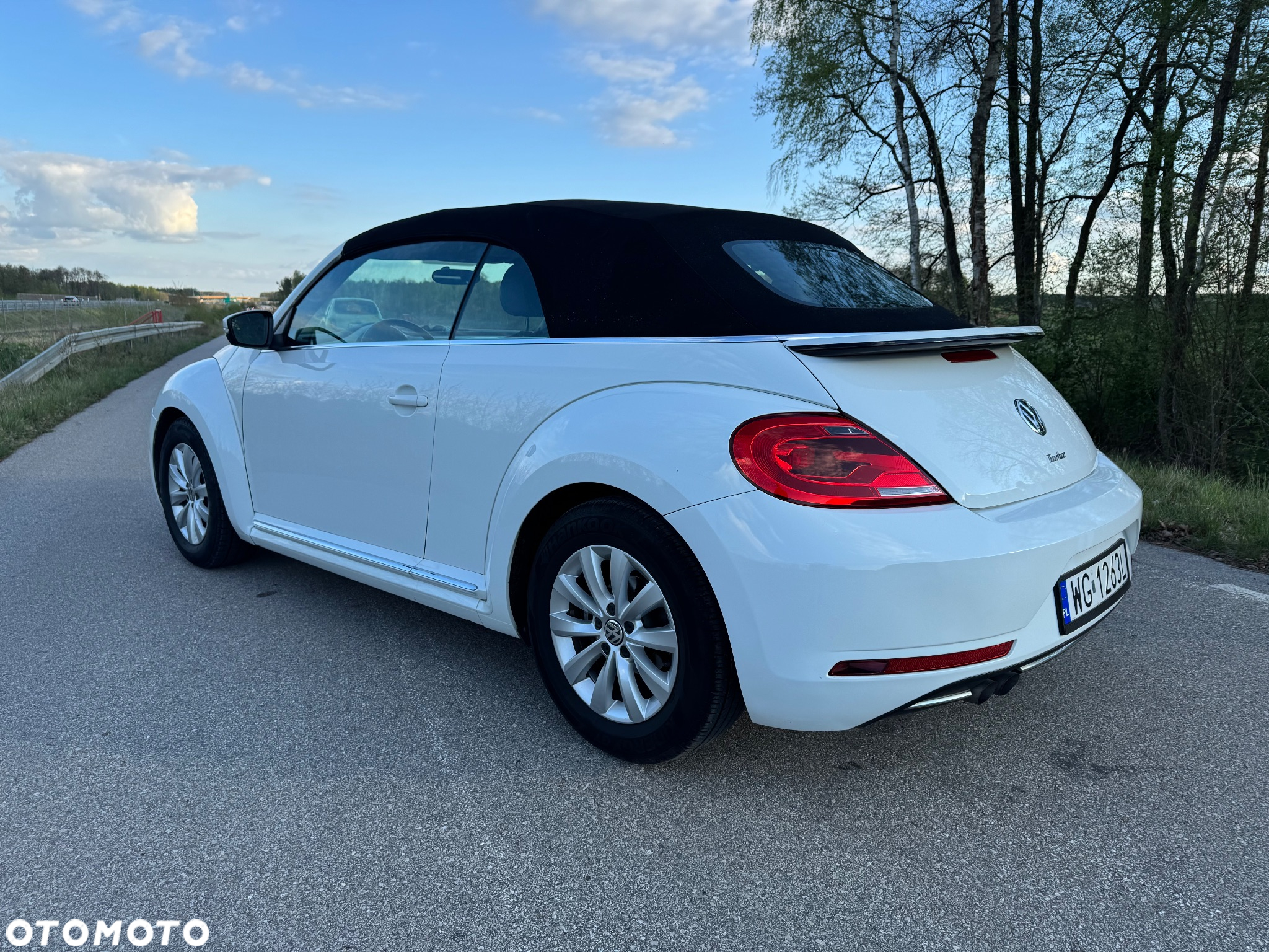 Volkswagen Beetle - 10