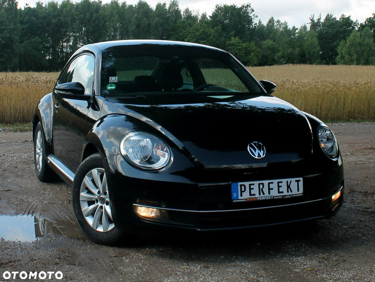 Volkswagen Beetle - 10