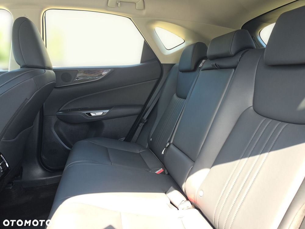 Lexus NX - 24