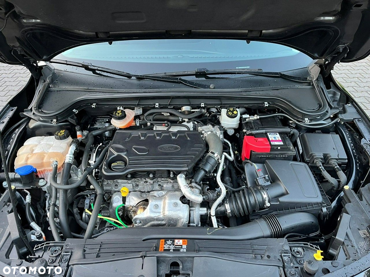 Ford Focus - 33