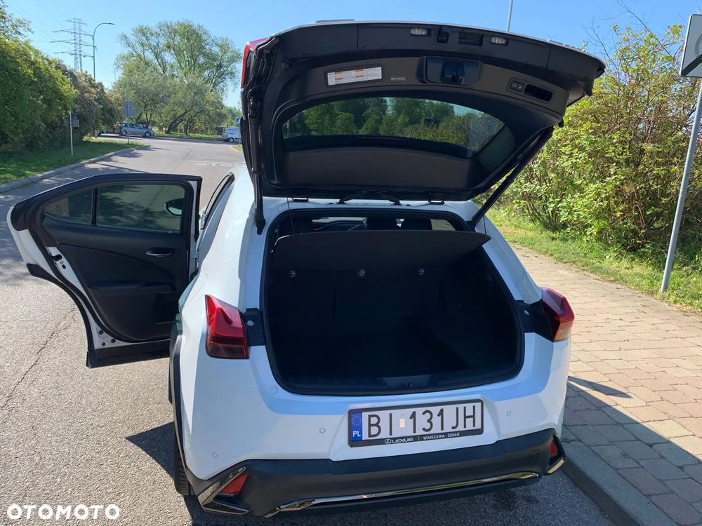 Lexus UX 250h F Sport AWD - 14