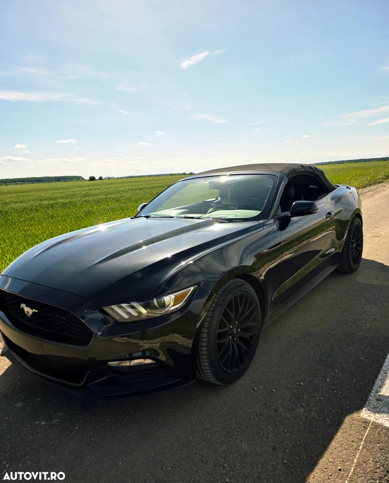 Ford Mustang Cabrio 2.3 Eco Boost - 1