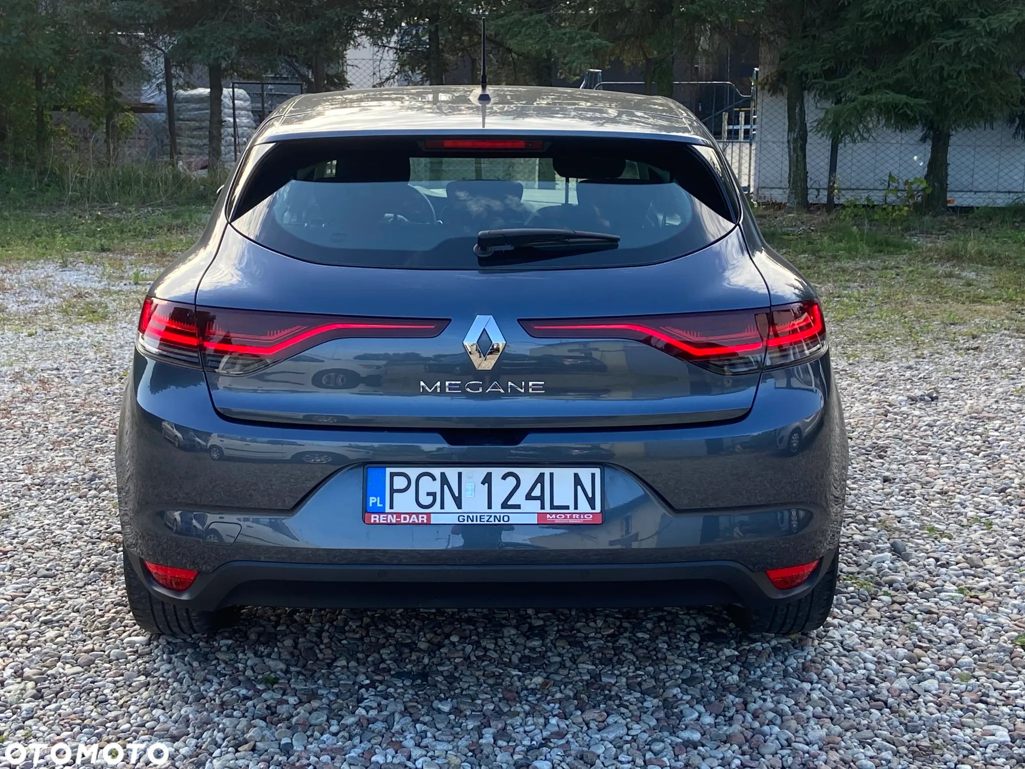 Renault Megane - 19