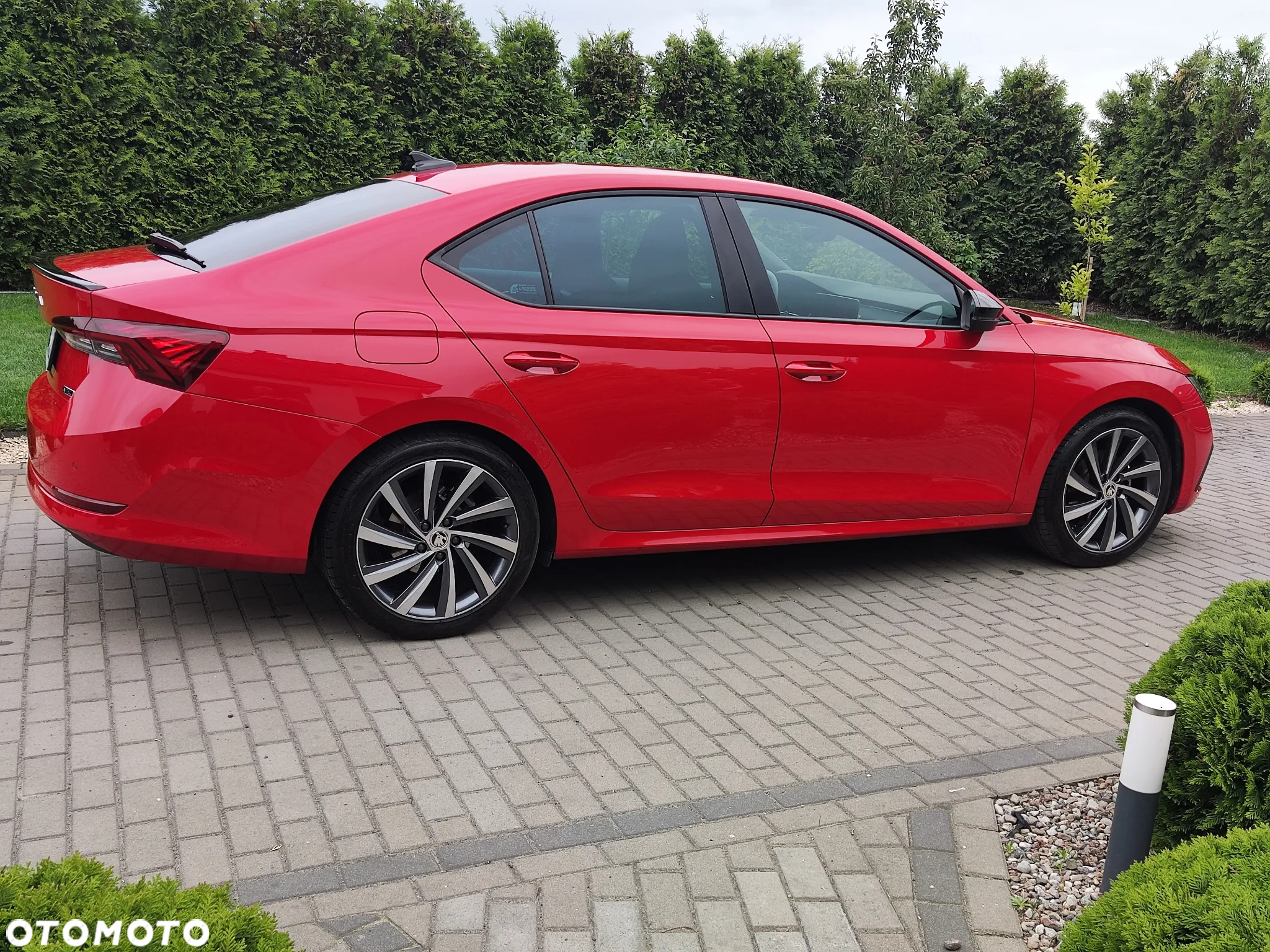 Skoda Octavia - 6