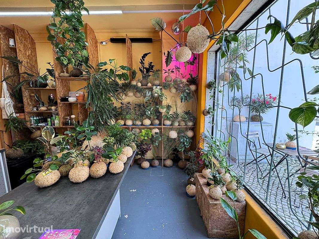 Loja  para venda - Grande imagem: 5/9