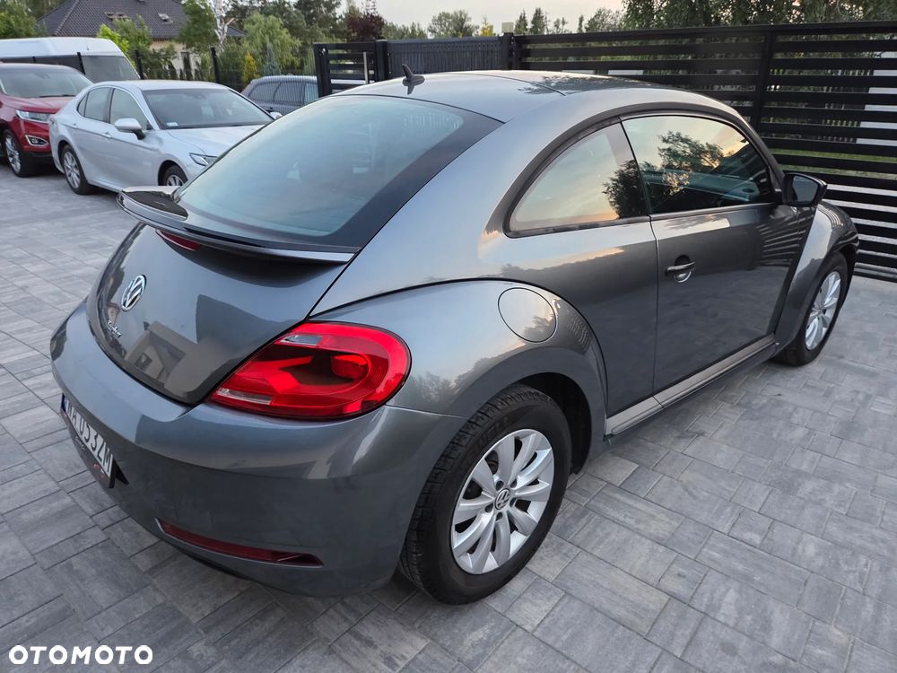 Volkswagen Beetle - 5