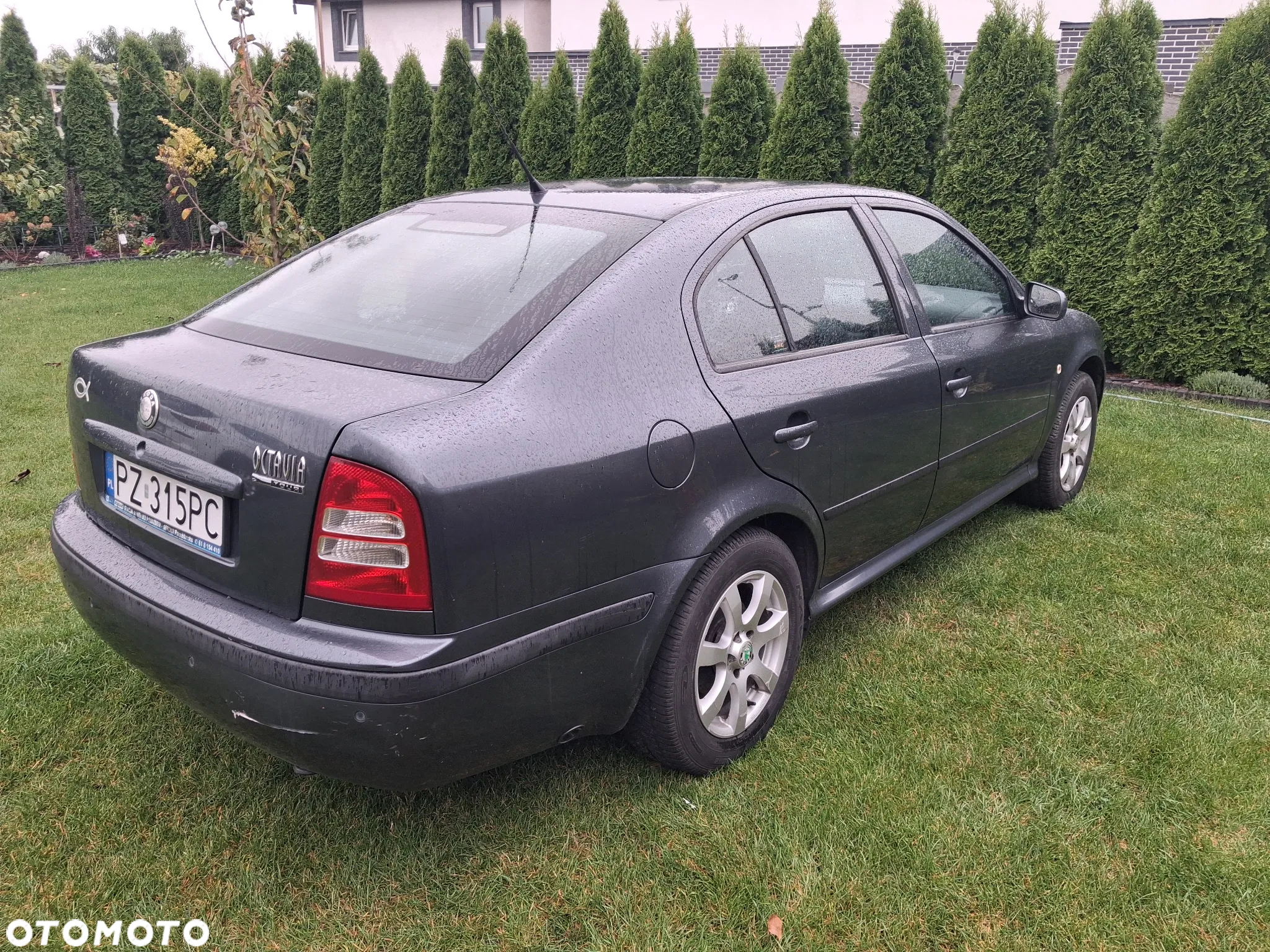 Skoda Octavia 1.6 Tour - 2