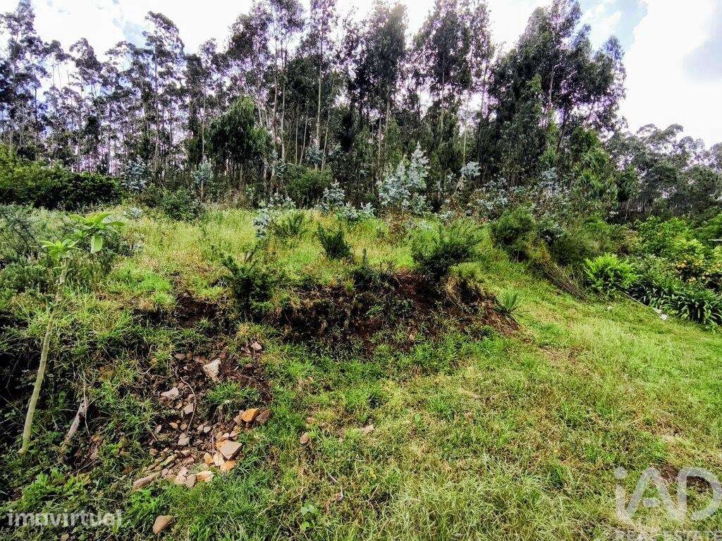 Terreno misto em Mujães - Grande imagem: 4/12
