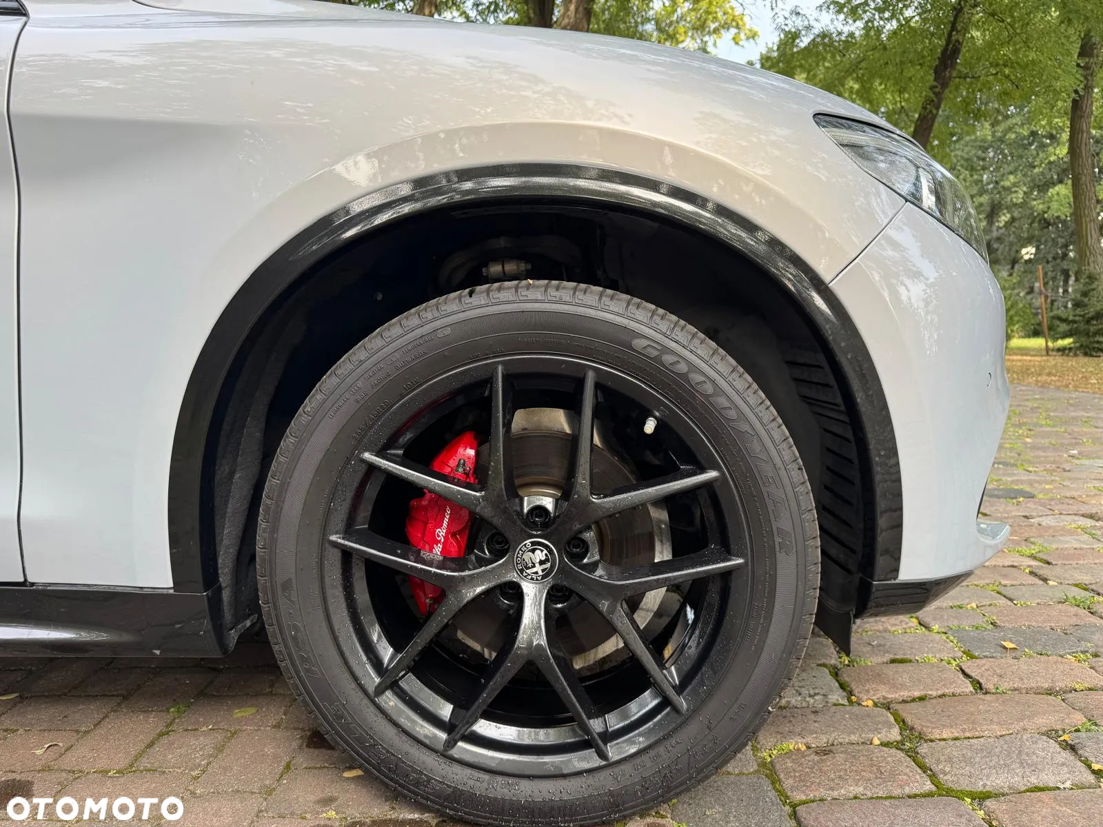 Alfa Romeo Stelvio - 5