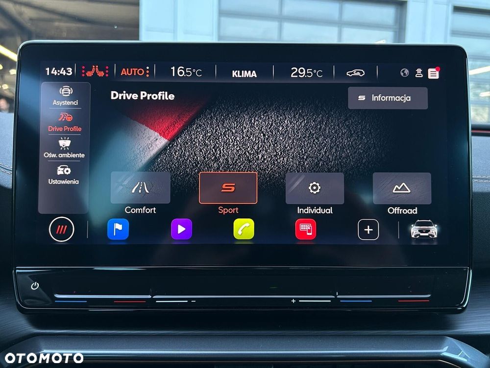 Cupra Formentor 2.0 TSI 4Drive DSG - 29