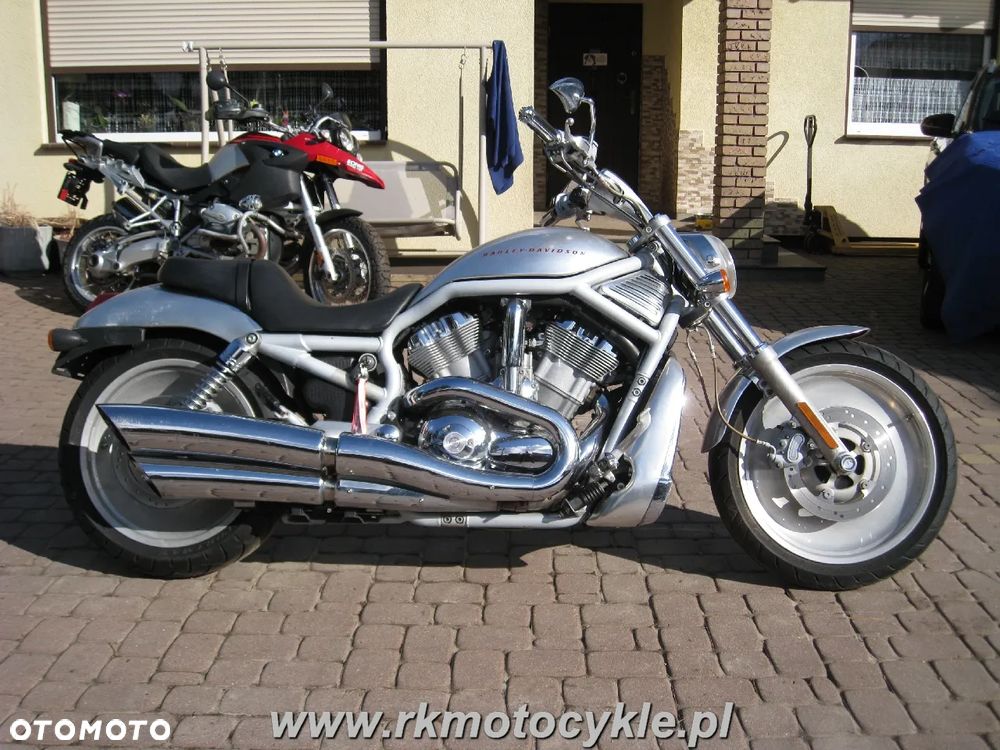 Harley-Davidson Softail V-Rod - 2