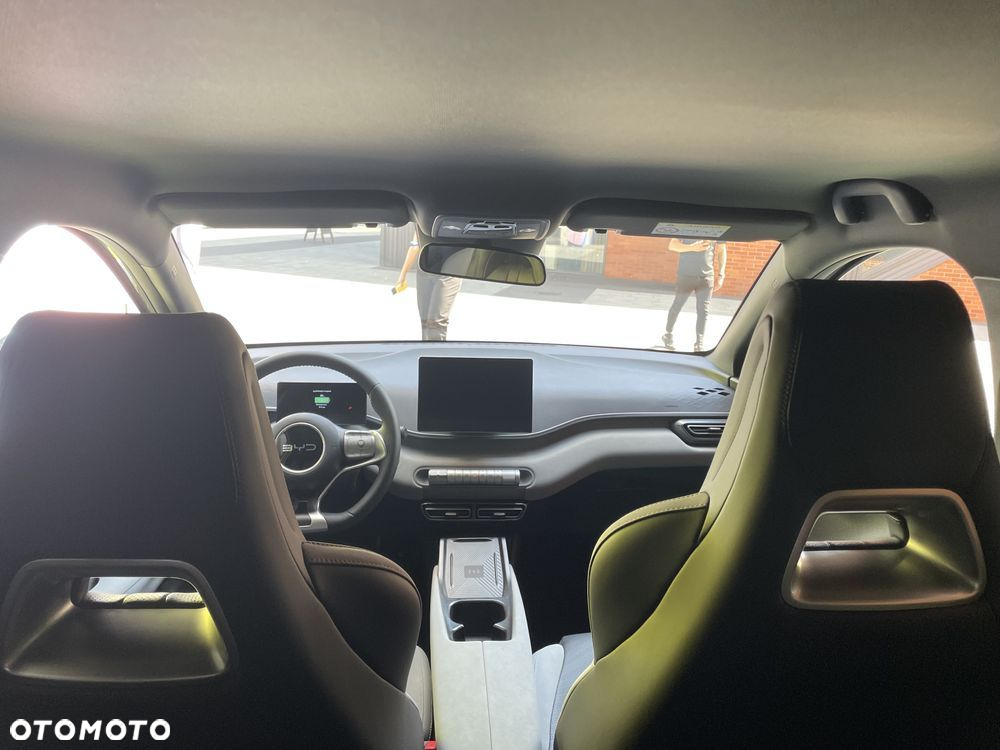 BYD Dolphin - 10