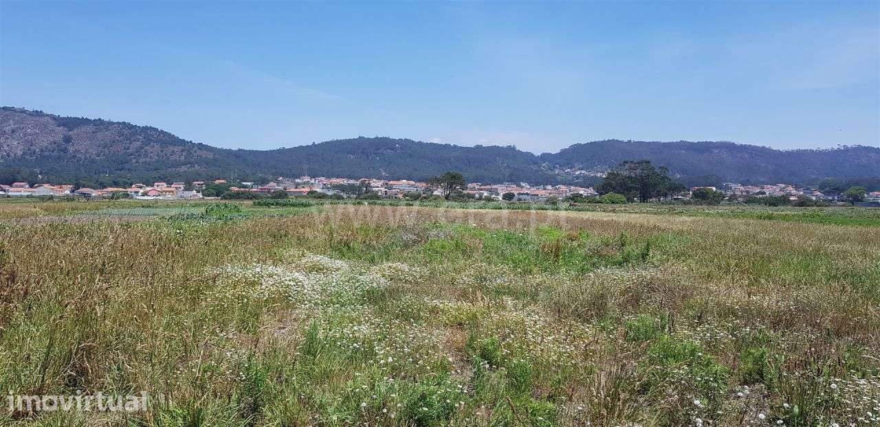 Terreno agricola junto ao Mar, Esposende - Grande imagem: 5/8