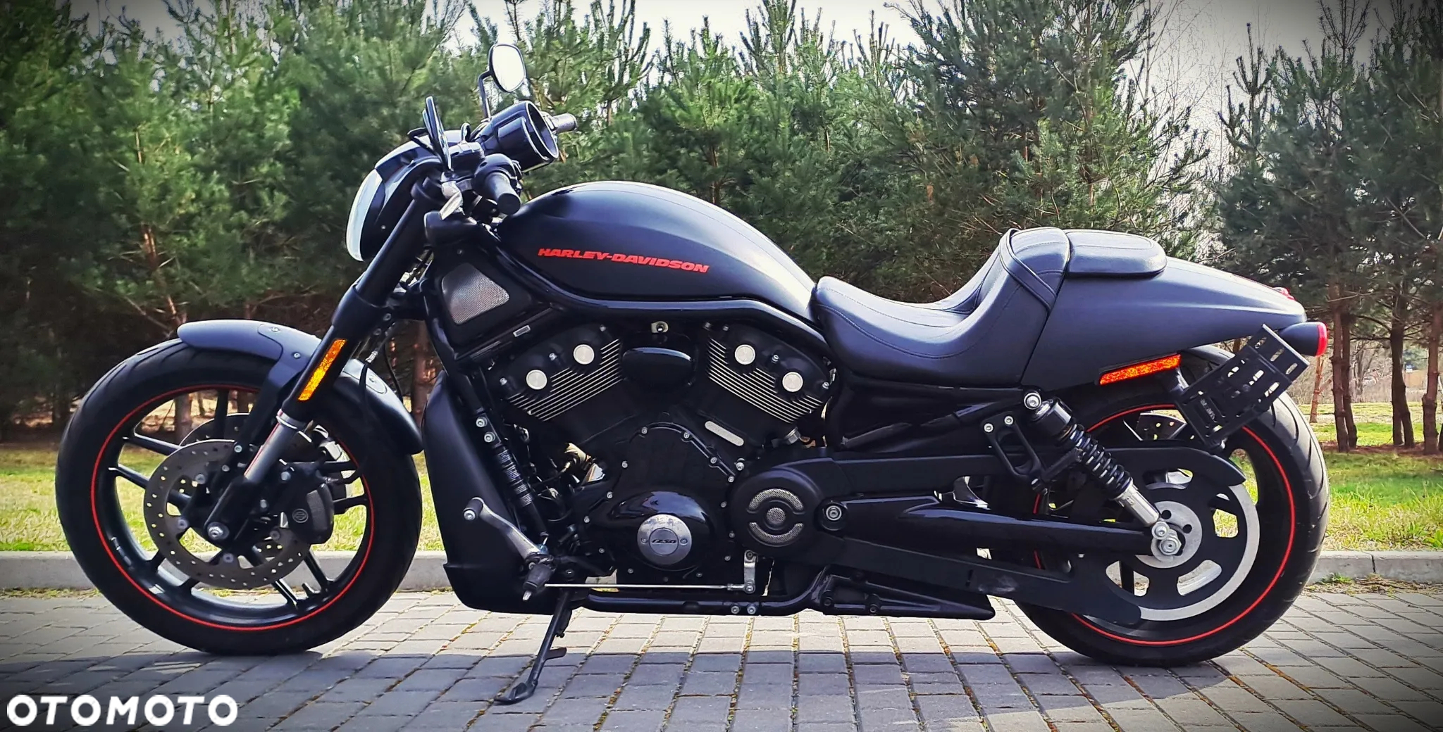 Harley-Davidson Softail V-Rod - 2