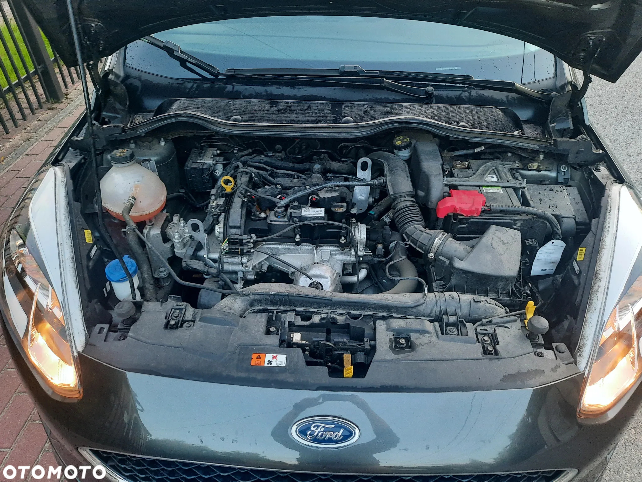 Ford Fiesta - 16
