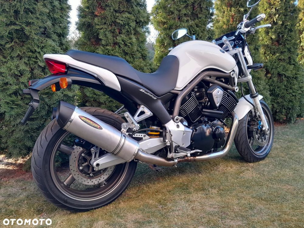 Yamaha Bulldog - 2