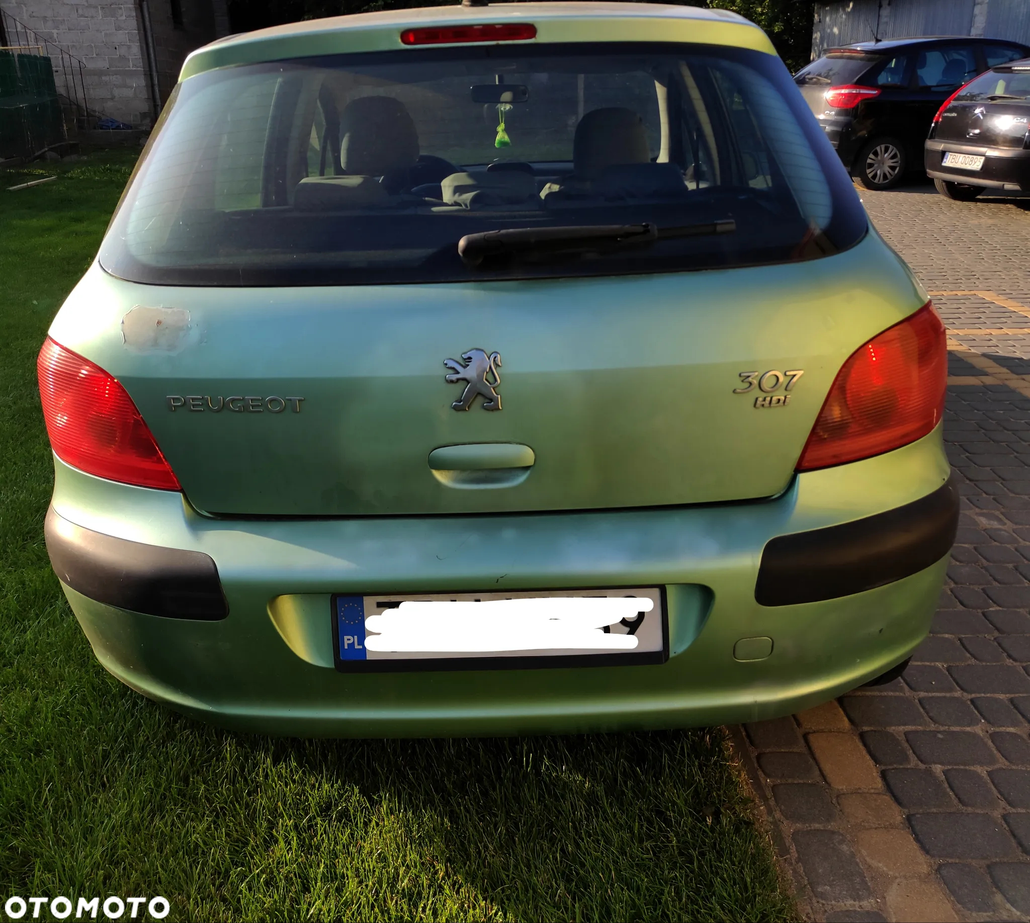 Peugeot 307 - 5