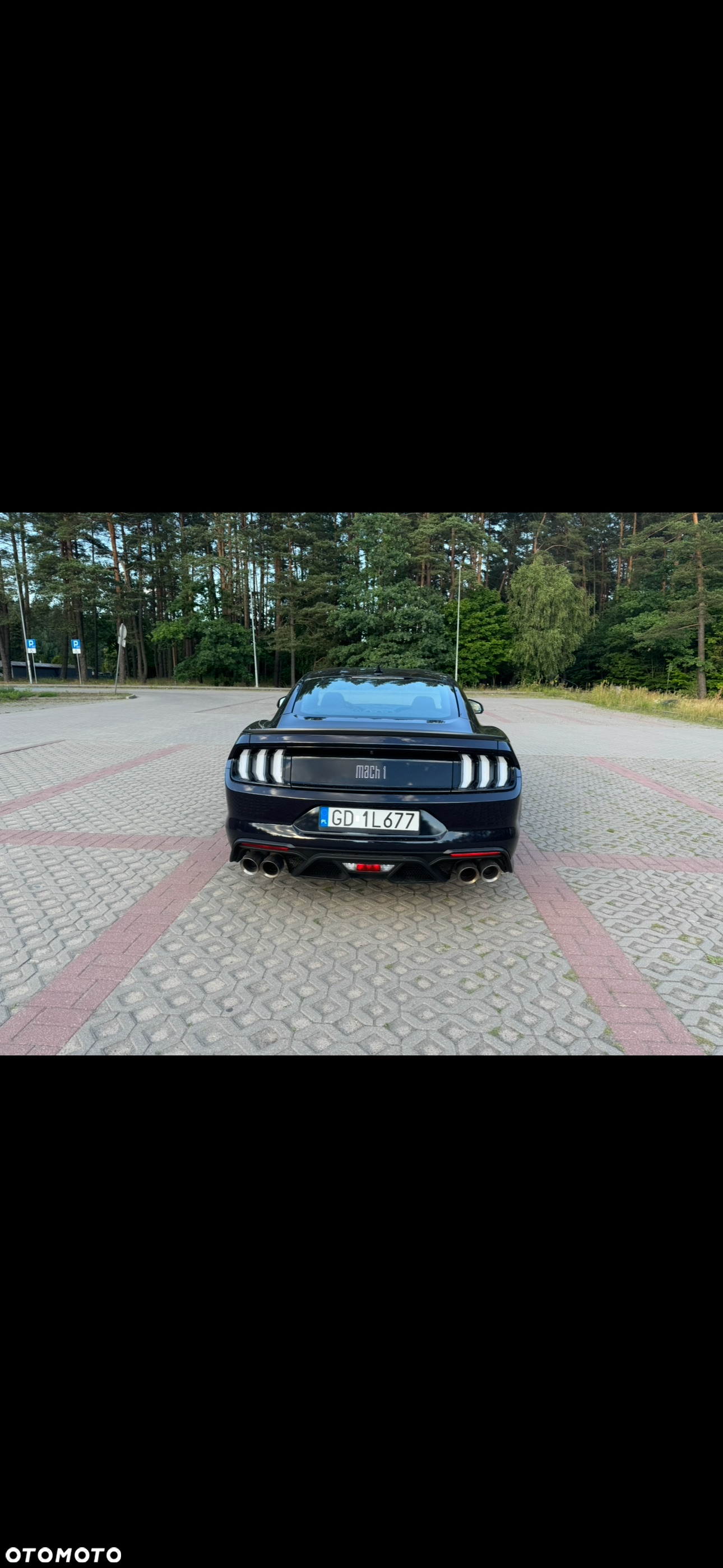 Ford Mustang 5.0 V8 Mach 1 - 3