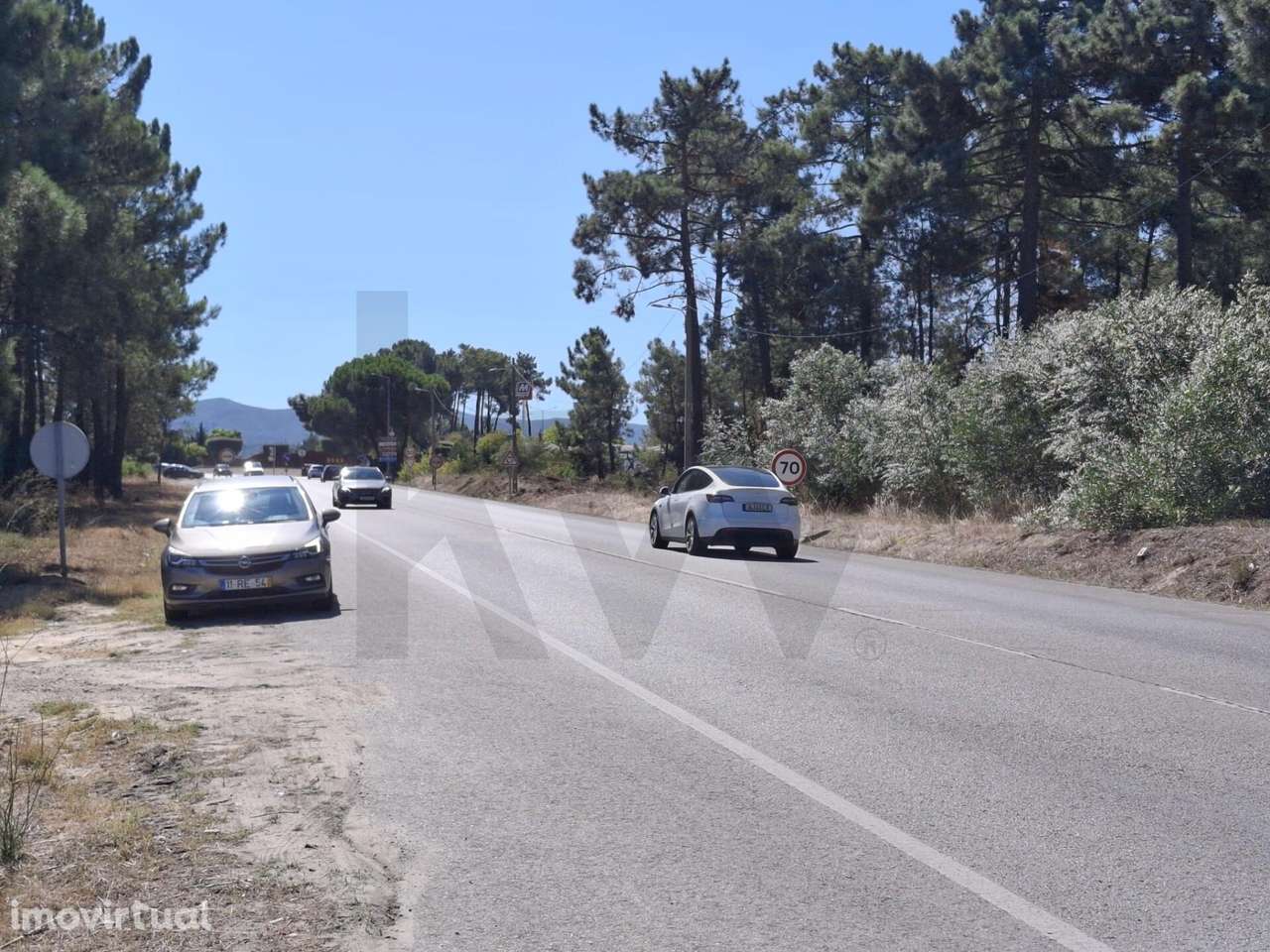 Oportunidade Única de Investimento — Terrenos no Pinhal de Negreiros - Grande imagem: 4/7