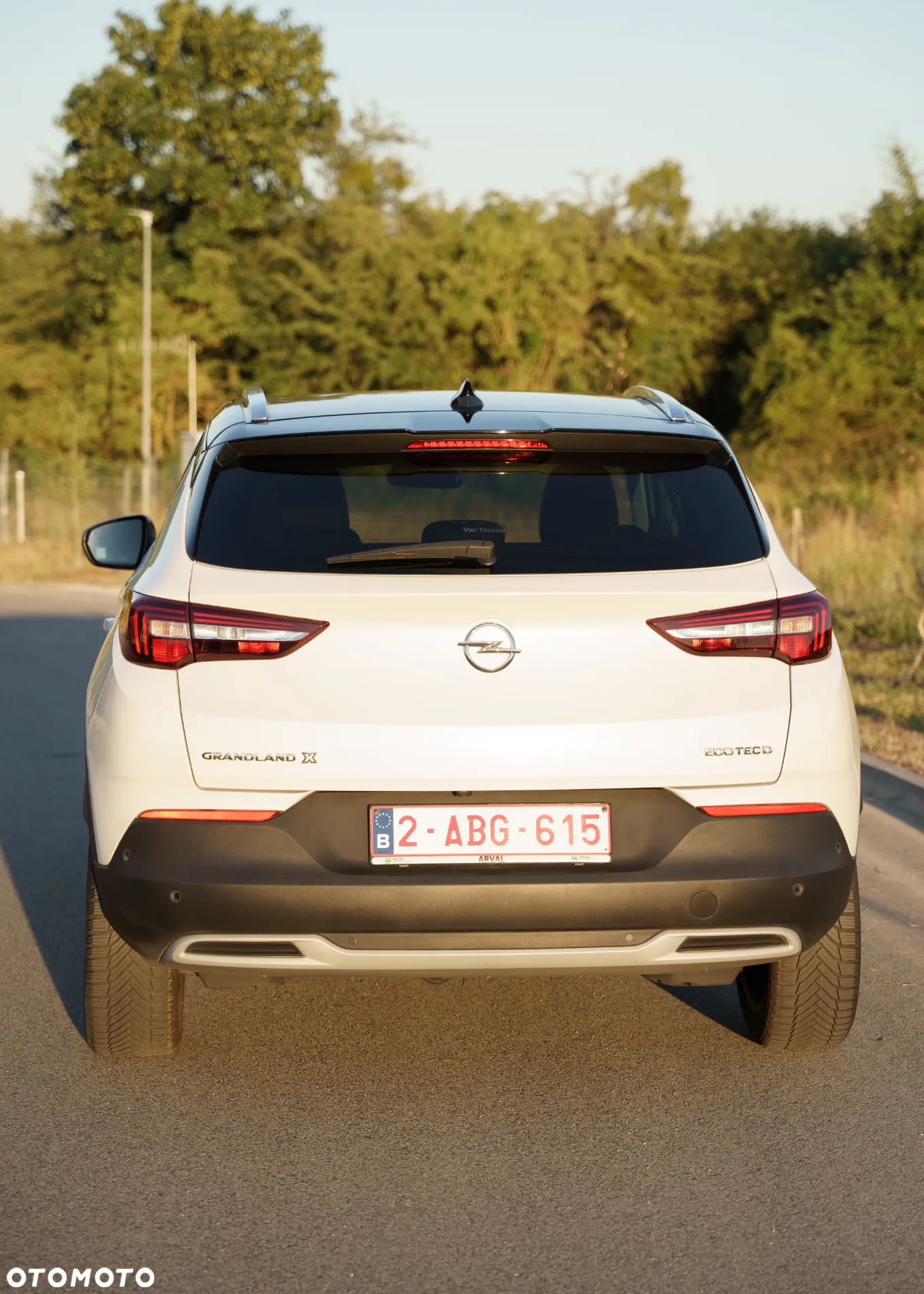 Opel Grandland X 1.5 CDTI Ultimate S&S - 3