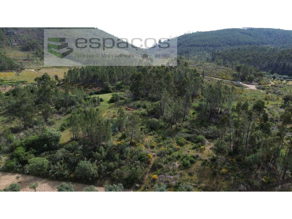 Terreno com charca - Barbaído - Grande imagem: 4/10
