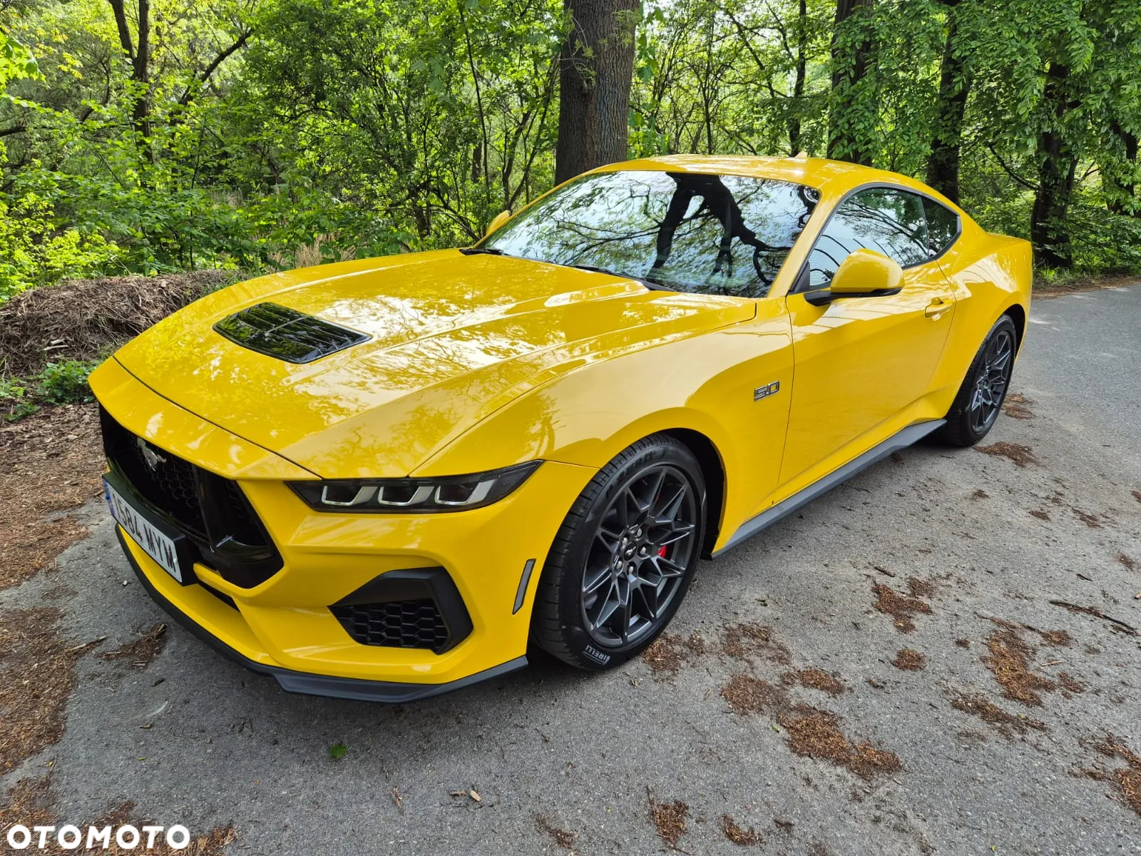Ford Mustang Fastback 5.0 Ti-VCT V8 GT - 35