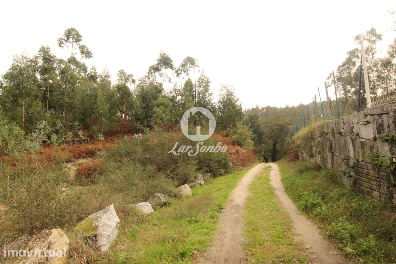 Terreno com 17.990m2 área S. Gens Fafe - Grande imagem: 2/16