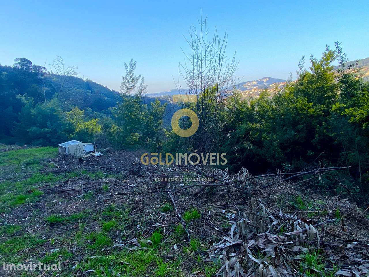 Terreno Florestal - Grande imagem: 3/6